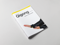 Tai Chi 18 Qigong